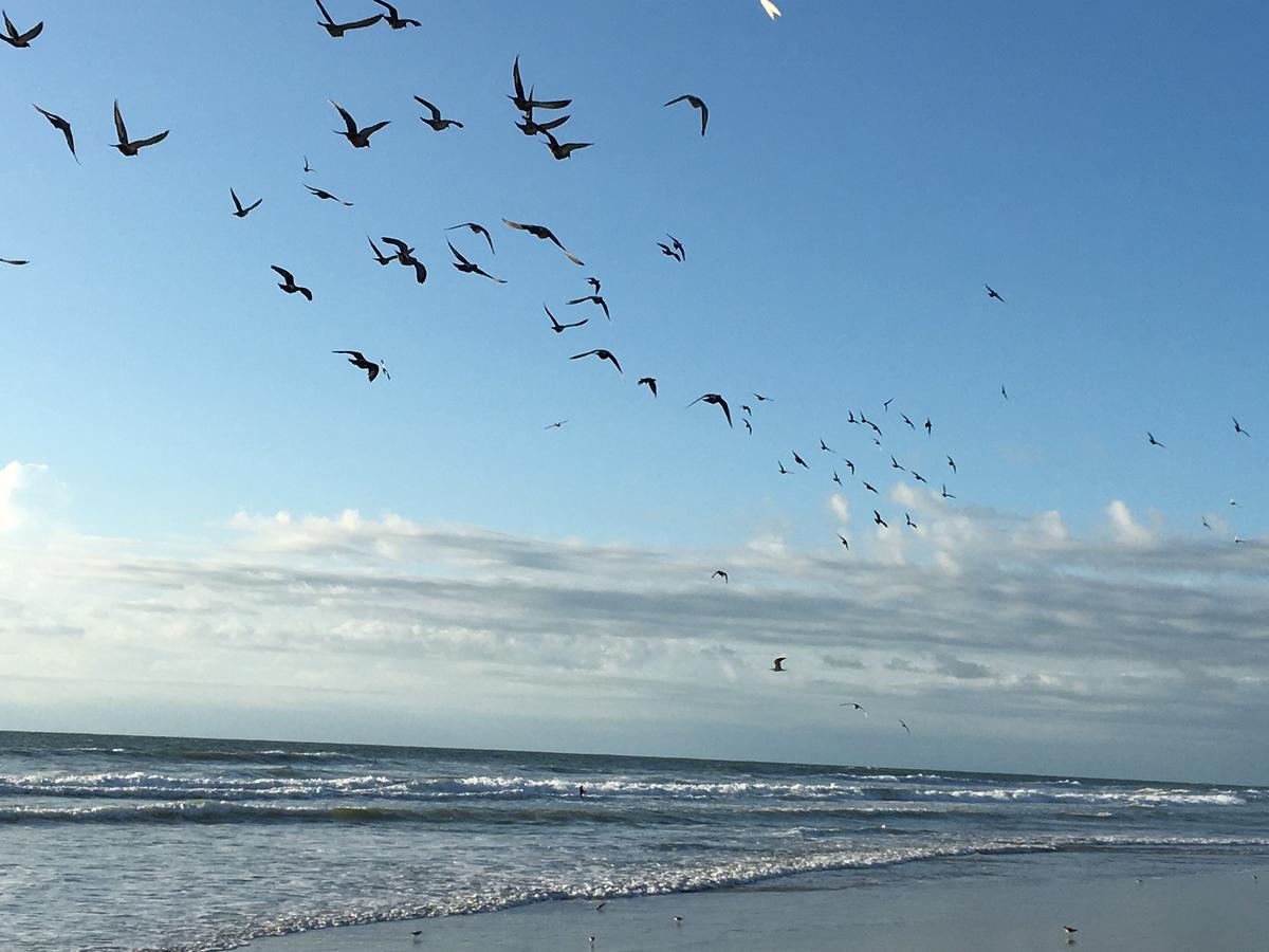 Spanish Main Cocoa Beach Εξωτερικό φωτογραφία
